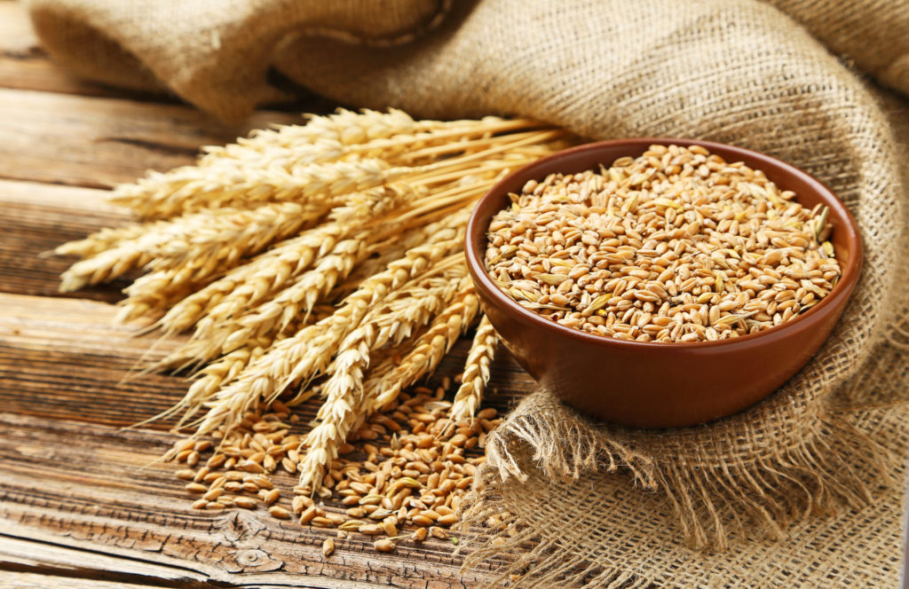 Ears of wheat and bowl of wheat grains on brown wooden background
